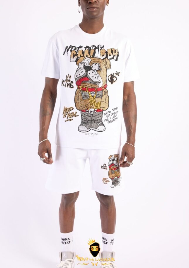 Conjunto Left Point Blanco Pedrería Brillante Perro